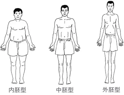 keep瘦子增肌计划制定指南(keep增肌有饮食计划吗)