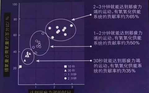 tabata减脂训练方法十分钟