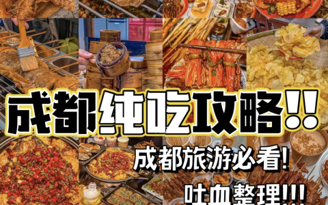 成都美食攻略吐血整理不踩雷(成都美食攻略苍蝇馆子)