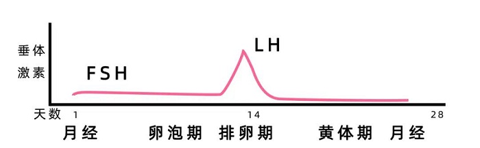 孕前检查最佳时间（这份备孕清单请查收）