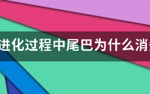 人类平衡能力明明这么差，为什么反而把尾巴退化掉了？