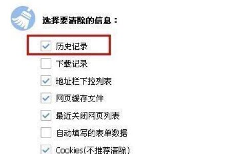 浏览器中的历史如何删除 （浏览器中的历史记录怎么删除）