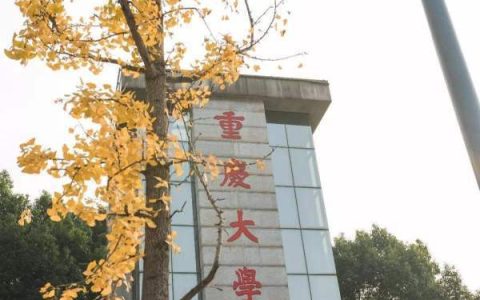 天津双一流大学名单2023年最新版，含2023年录取分数线排名榜单(附2023年最新排行榜前十名单)