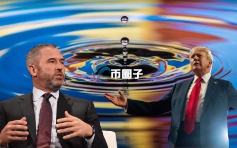 Ripple CEO Brad Garlinghouse：川普效应正在发酵 牛市已成定局