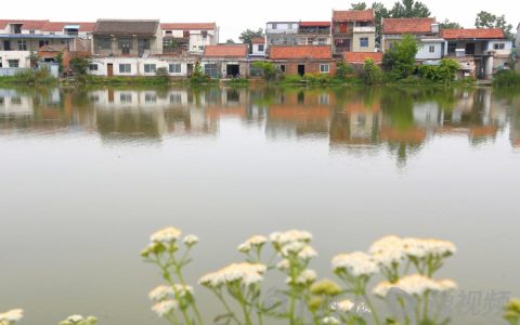 周口有座小城建在“水”中 初夏风景宛若江南