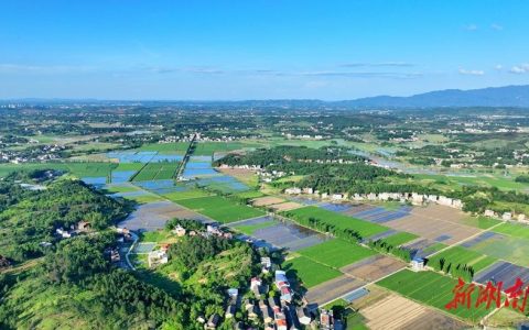 夏日乡村景色美